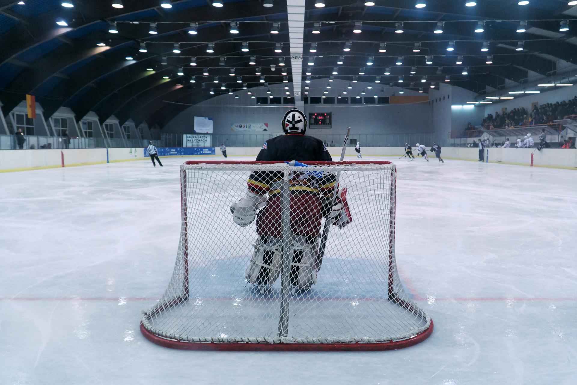 how does the role of a hockey goaltender play into student support systems?
